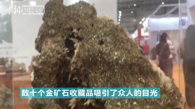 近距离看金矿石天然原石