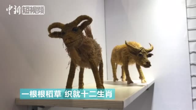 马尾也能“穿针引线”