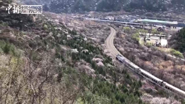 ������������������г�