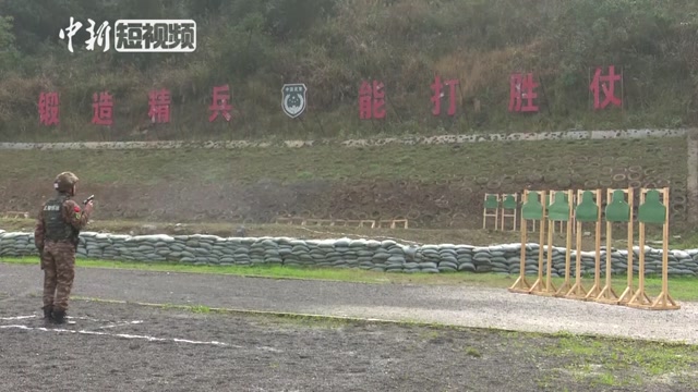 ֱ�������侯ʵ��������� ����ǹ����������