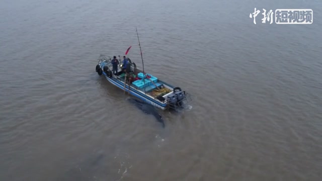 十年国债收益率三年来首次破4!机构称调整仍未